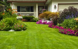 DIY Landscaping: Help Your Home Sell