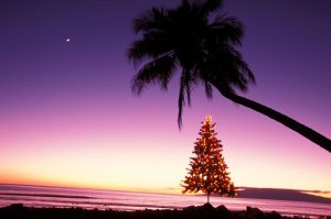 Hawaiian Holiday Rentals